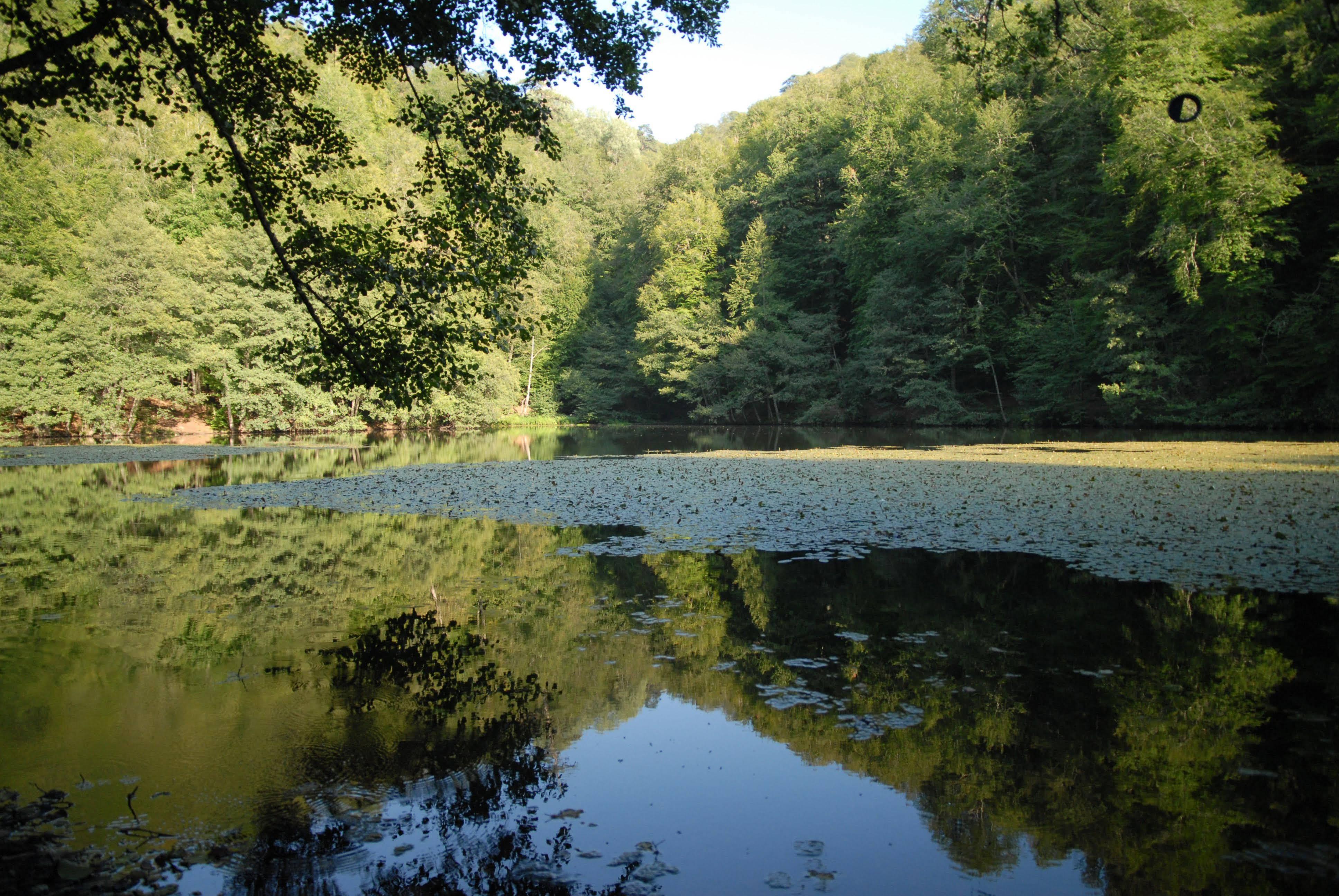 Bolu Termal Hotel ภายนอก รูปภาพ